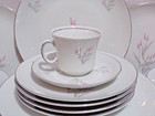 Winterling - Barvaria Germany Wig 3 Dinnerware Service For 6 1959 Vintage Pretty