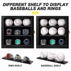 Baseball Display Case Championship Ring Display Case  Wooden Wall Cabinet Wit   