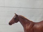 Breyer Traditional Horse Lady Phase  40 Short Tail T3