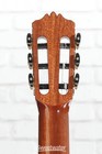 Cordoba C10 C  Nylon String Acoustic Guitar - Cedar