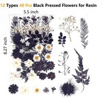12 Types 48pcs Real Dried Pressed Flowers For Resin  Leaf Plant Herbarium For   