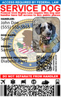 Service Dog Id Card 1 Side Only 