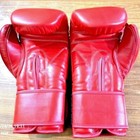 Cleto Reyes Boxing Gloves Tapetype Hook   Loop Sparring Training Gloves 8oz-16oz