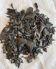 Over 500 Carolina Fossil  Shark Teeth Many Species Megalodon   Crow   Id Chart