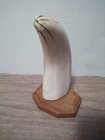 Faux Whale Tooth Scrimshaw Olde World Sailing Ship Replica Wooden Base Cook Co