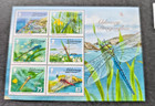 Alderney 2009 Bees Set And Miniature Sheet Mint Never Hinged