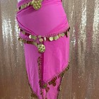 Pink Coin Skirt With Gold Coin Embellishments And Fringe one Size