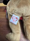 Ty Beanie Baby - Plymouth The Thanksgiving Bear -with Tags