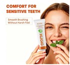 Sensitive Teeth Toothpaste Enamel Care Fresh Breath Gum Care 3 5oz 1 Pack