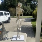 Mini Human Skeleton Model With Metal Stand   31  Tall With Removable Arms And Le