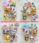 Littlest Pet Shop Lps Cats And Collie Dogs  5pcs Random  Shorthair Cat