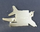 Phantom F-4 Navy Marines Aircraft Lapel Pin 1 75 Inches Print Enamel