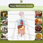 The Natural Healing Handbook  Spiral-bound Guide For Herbal Remedies And Natural