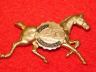 Vintage  1 7 8  Long Souvenir Capitol Washington Dc Horse Pin