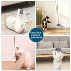 1pc Interactive Door Hanging Cat Toy Stress Relief Hanging Kitten Toy - New