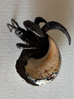 Bronze Hermit Crab Sculpture In Polished Turbo Sarmaticus Shell Apx  4  X 4 