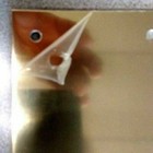 Solid Brass Push Plate  3 1 2  X 15  Nos Polished Brass Solid Brass