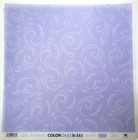 Rare Ek Success 12x12 Vellum Scrapbook Papers Color Oasis Napa Valley Med Print