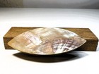 Tatting Shuttle With Mother Of Pearl Inlay 3 Inch Long White