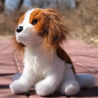     New Douglas Cuddle Toys Stuffed Plush Cavalier King Charles Spaniel Soft Dog