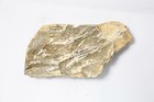 1893 Plaster Ceiling Fragment H i  Cobb s Chicago Athletic Association Building