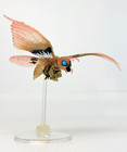 Fire Mothra 2004 Gashapon 3  Mini Figure Bandai Godzilla Hg Series 11 Final Wars