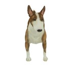 English Bull Terrier Dog - Figurine Miniature 4 h New