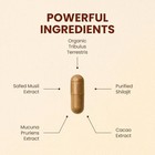 Choq Daily Natural Supplement Capsules New Sealed