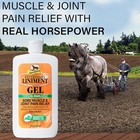 Absorbine Veterinary Liniment Gel 12 Oz - Free Shipping   