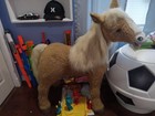 Hasbro Butterscotch Furreal Friends Large Pony Horse Sit On Interactive Toy Read