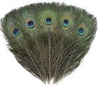 12 Pcs Real Natural Peacock Eye Feathers 10-12 Inch For Diy Craft Wedding Decors