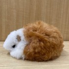 Alpaca Pure Wool Guinea Pig Doll  Light Beige And White