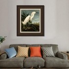 Framed Canvas Art Print Snowy Heron Or White Egret By John James Audubon 28 x32 