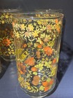 Libbey Indian Summer Vintage Drinking Glasses Set Of 8 
