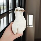 2-headed White Pigeon Taxidermy Manmade Freak 2 Headed White Pigeon