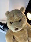 Gund Teddy Boom Plush  2437 Retired Brown Tan Teddy Bear 16 