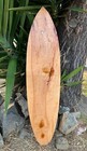 It   s 5 0 clock Somewhere Tropical Drinking Parrot Airbrushed Surfboard Wall