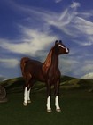 Ooak Breyer Cm Custom Stablemate Arabian Horse Resculpted  lovely Liver Chestnut