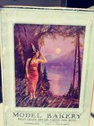 Large Original 1925 Calendar -   R Atkinson Fox - Beautiful Indian Maiden -46x25