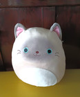Squishmallows Plush Felton The Siamese Kitty Cat 12  Stuffed Animal Toy Pillow
