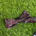 Cremieux Bow Tie Paisley Burgundy Adjustable Neck Tie Formal Event Mens Nwt