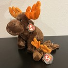 Original Retired Ty Beanie Buddy 14      Beanie Baby 8 5    Chocolate The Moose 
