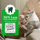 Feline Greenies Natural Dental Care Cat Treats  Salmon Flavor  9 75 Oz 