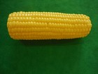 10 Realistic Fake Corn On The Cob Food Display Prop Or Play Toy