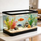 2 Gallon Plastic Rectangular Fish Tank  Large Clear Shatterproof Aquarium For   