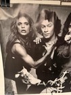 Vtg 1980 Van Halen Poster Norman Seeff Original Promos Made In Usa 24x36 Rare 