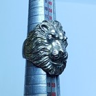Very Rare Ancient Roman Era Silver Ring Lion Head Authentic Artifact Genuine