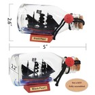 Nautimall 5inch Black Pearl Caribbean 5l X 3w X 3h Inches  5   