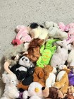 Webkinz Plush Lot No Code Tags Puppy Dogs Cat Kittens Dragons Bundle 36 Pcs A