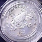 2003 American Eagle Platinum Proof Coin 4- Coin Set